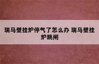 瑞马壁挂炉停气了怎么办 瑞马壁挂炉跳闸